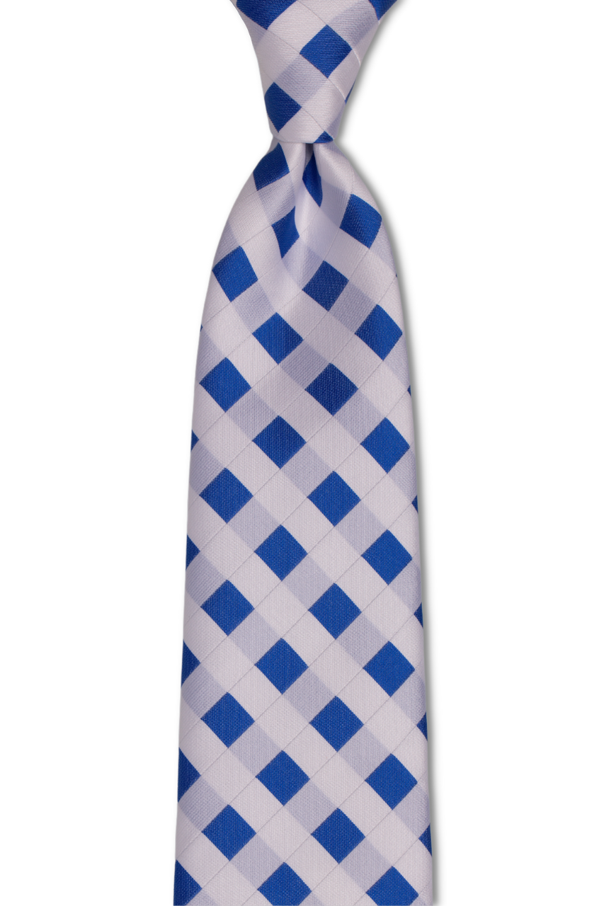 Blue and White Picnic Patterned Traditional Tie