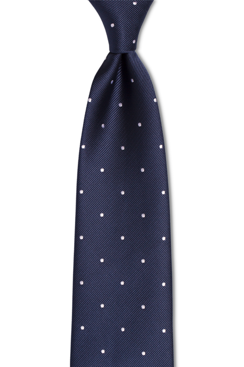 Navy Silver Dotted Tie