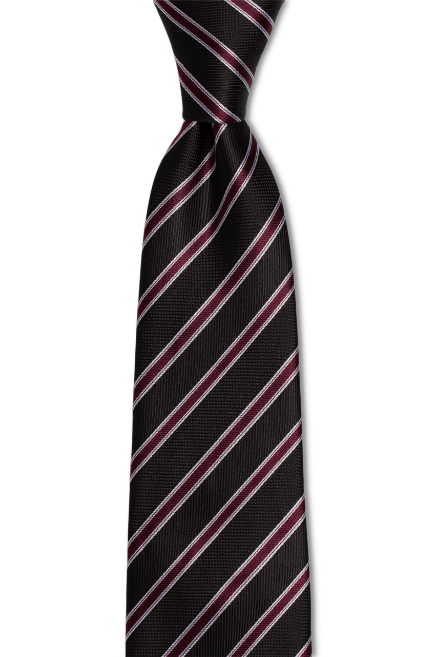 GoTie - Never Tie a Tie Again -