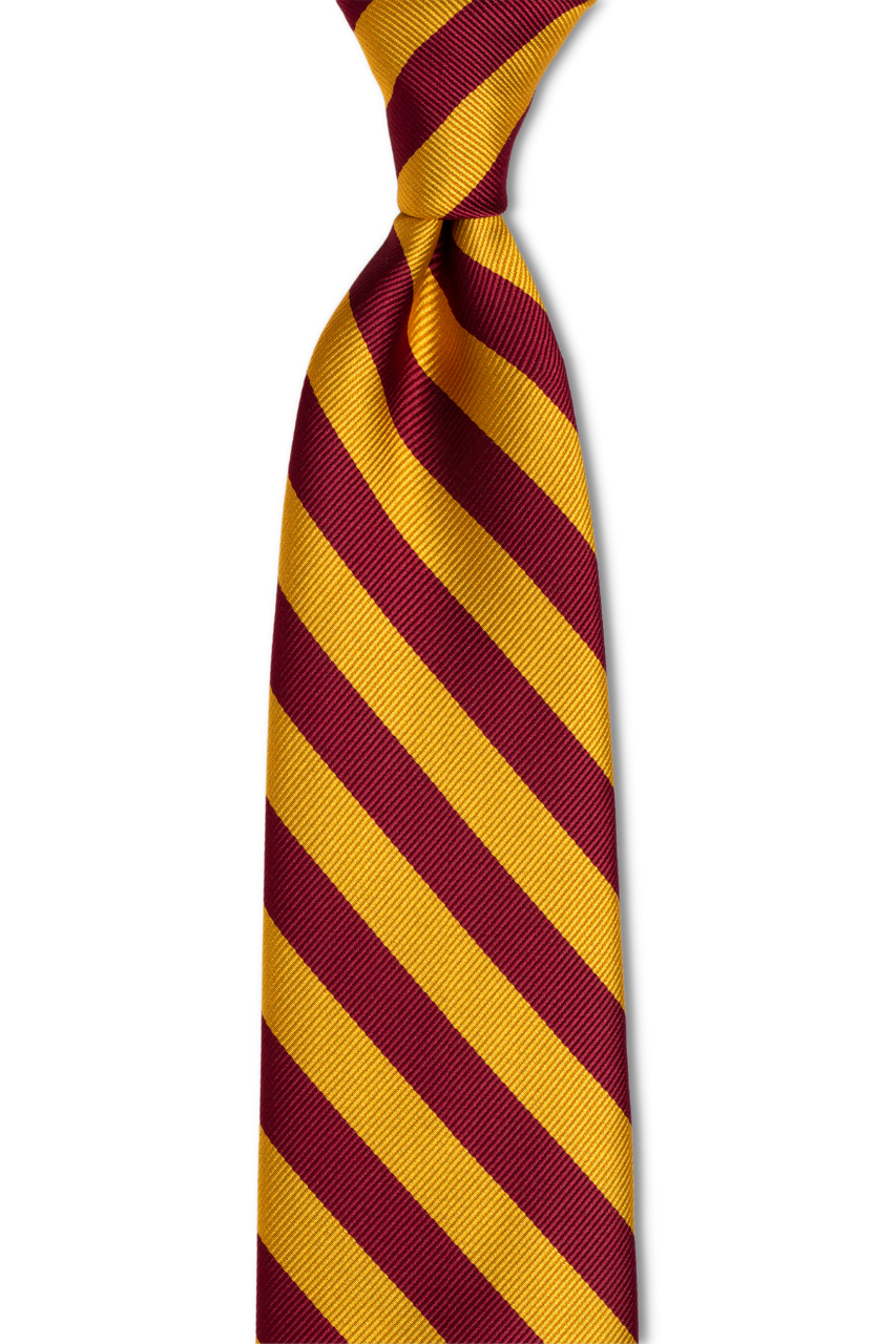 The Wizard Traditional Tie