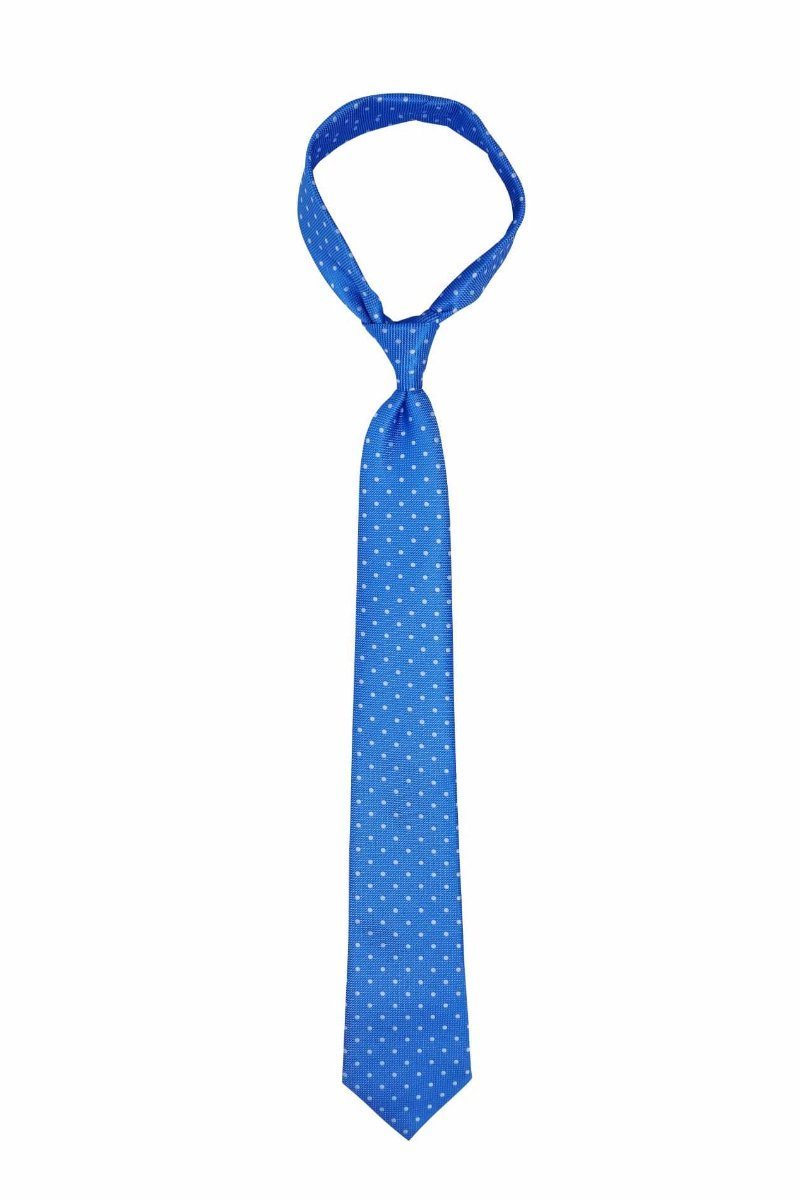 Baby Blue Dotted Skinny Tie, Tie, GoTie