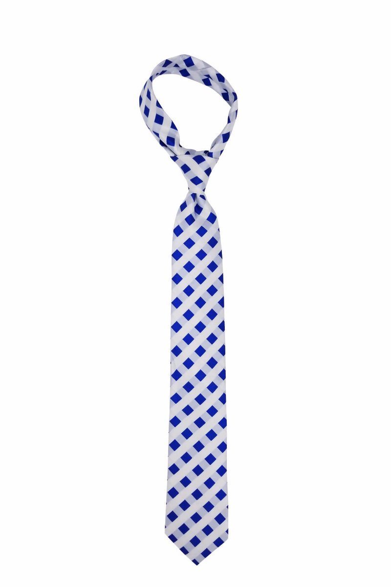 Blue and White Picnic Patterned Pre-tied Tie, Tie, GoTie
