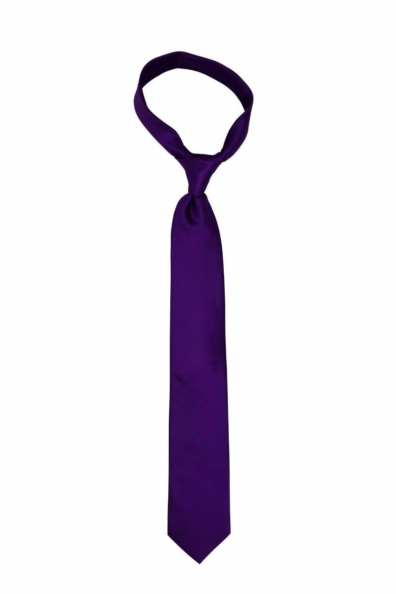Bright Solid Purple Pre-tied Tie, Tie, GoTie