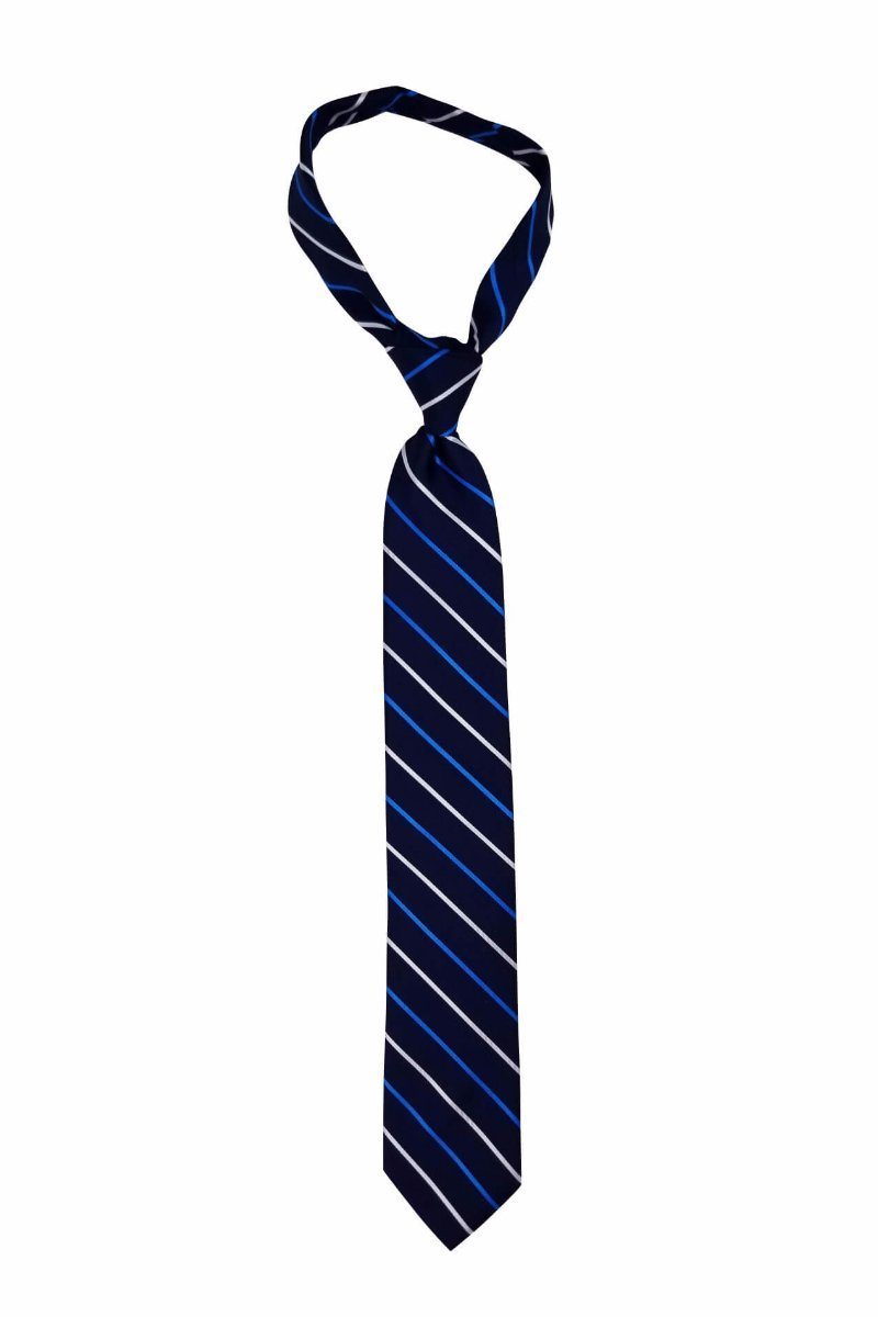 Navy with Blue and Silver Stripes Pre-tied Tie, Tie, GoTie