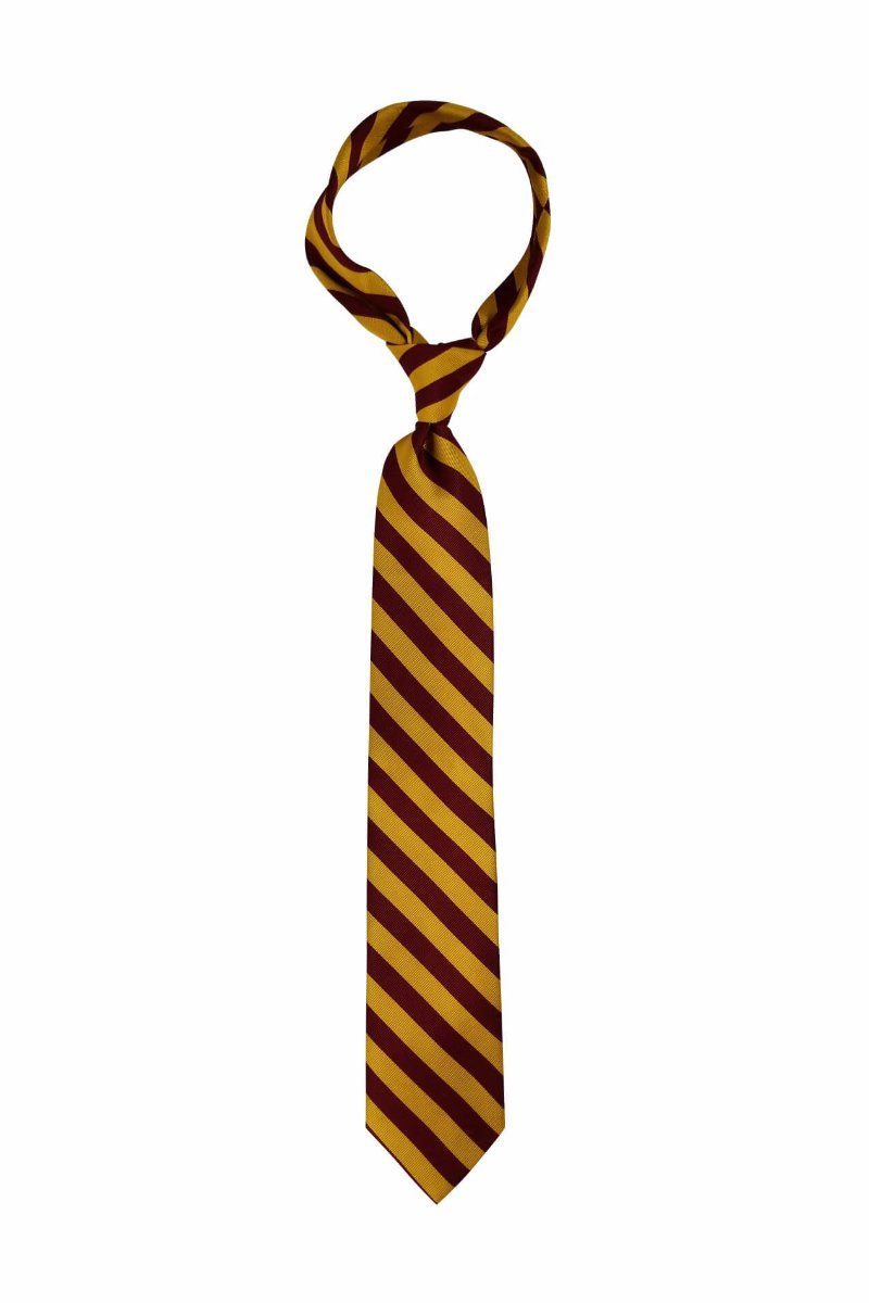 The Wizard Pre-tied Tie, Tie, GoTie